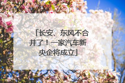 长安、东风不合并了！一家汽车新央企将成立